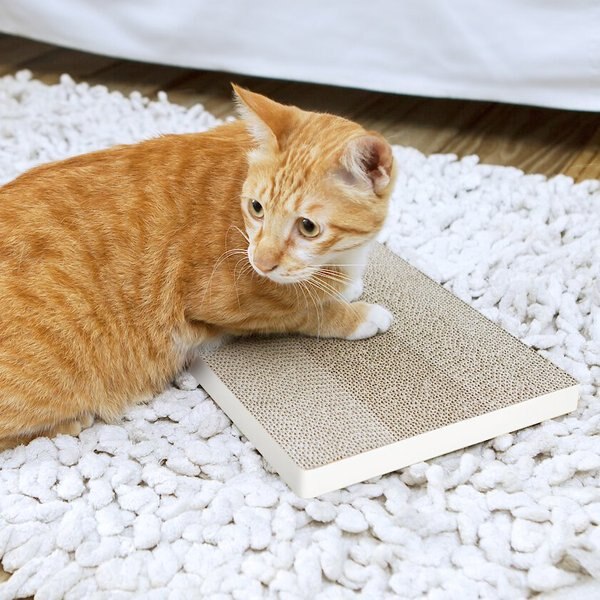 Way Basics zBoard Paperboard Simple Scratcher Cat Toy, White slide 1 of 4