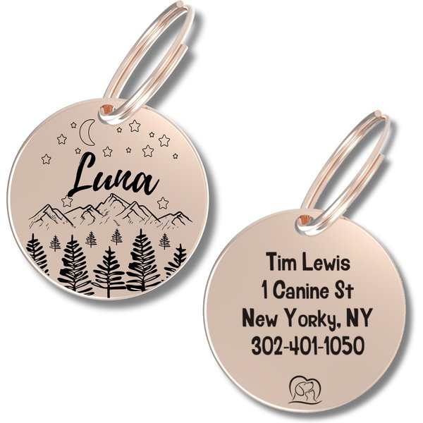 Chewy engraved 2024 dog tags