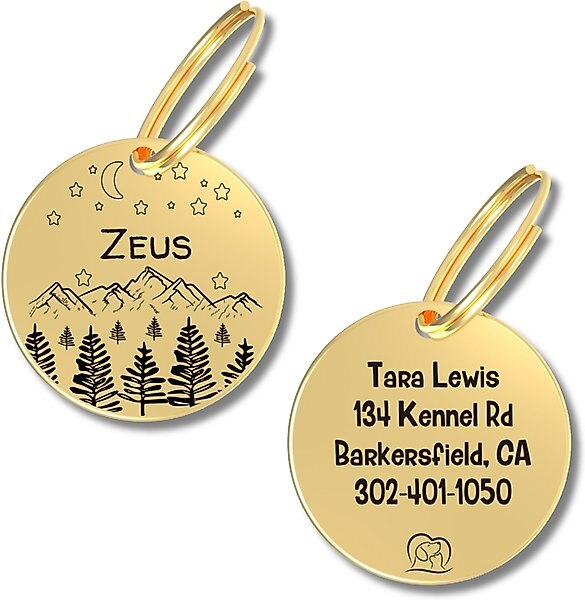 PawFurEver Circle Personalized Dog ID Tag, Gold, Darknight slide 1 of 9