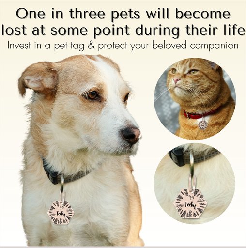 PawFurEver Hexagon Personalized Dog ID Tag, Rose Gold, Wildflower