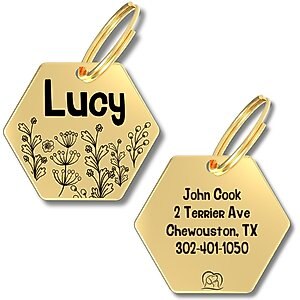 PawFurEver Hexagon Personalized Dog ID Tag, Gold, Wildflower