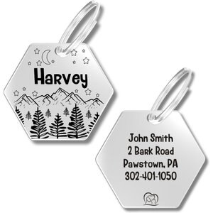 PawFurEver Hexagon Personalized Dog ID Tag, Silver, Darknight