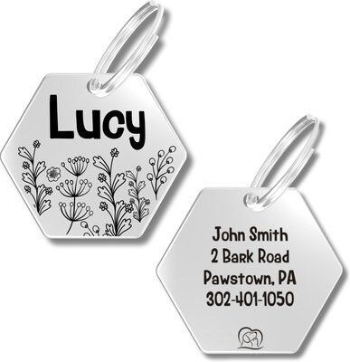 PawFurEver Hexagon Personalized Dog ID Tag, slide 1 of 1
