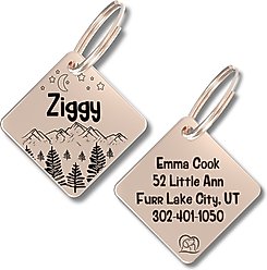 PawFurEver Diamond Personalized Dog ID Tag, Rose Gold, Darknight
