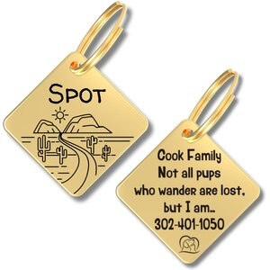 PawFurEver Diamond Personalized Dog ID Tag, Gold, Arizona