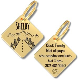 PawFurEver Diamond Personalized Dog ID Tag, Gold, Country Road