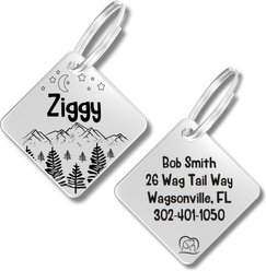 PawFurEver Diamond Personalized Dog ID Tag, Silver, Darknight