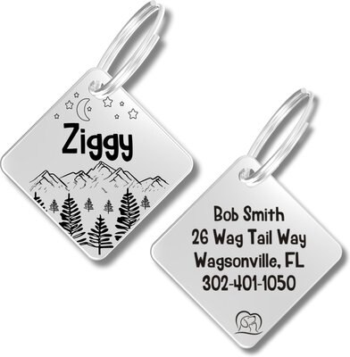 PawFurEver Diamond Personalized Dog ID Tag, slide 1 of 1