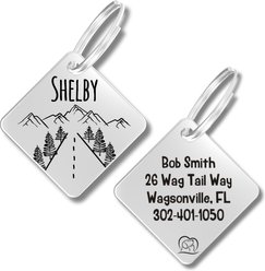 PawFurEver Diamond Personalized Dog ID Tag, Silver, Country Road