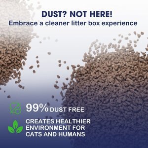 Catfidence Organic Bamboo Cat Litter, 21-lb bag