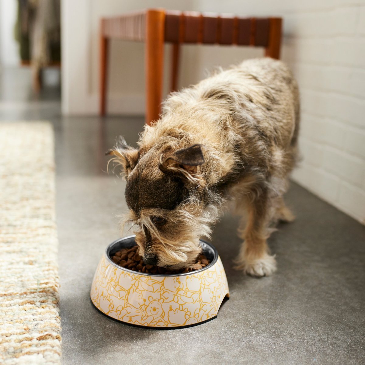 Disney dog shop food bowl