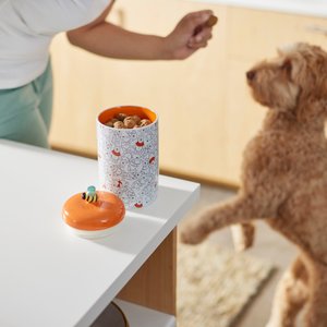 Disney Winnie the Pooh Orange Ceramic Dog & Cat Treat Jar, 3.75 cup