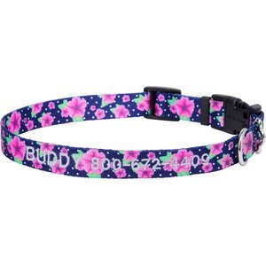 Frisco Patterned Polyester Personalized Dog Collar, Midnight Floral, Medium: 14 to 20-in neck, 3/4-in wide