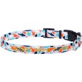 Frisco Reef Life Polyester Personalized Dog Collar, Medium: 14 to 20-in neck, 3/4-in wide