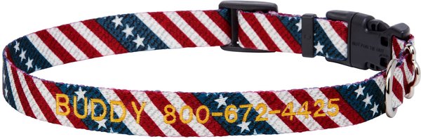 Frisco American Flag Polyester Personalized Dog Collar, X-Small: 8 to 12-in neck, 5/8-in wide slide 1 of 5