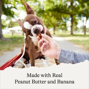 American Journey With Peanut Butter & Banana Grain-Free Soft-Baked Dog Treats, 8-oz bag