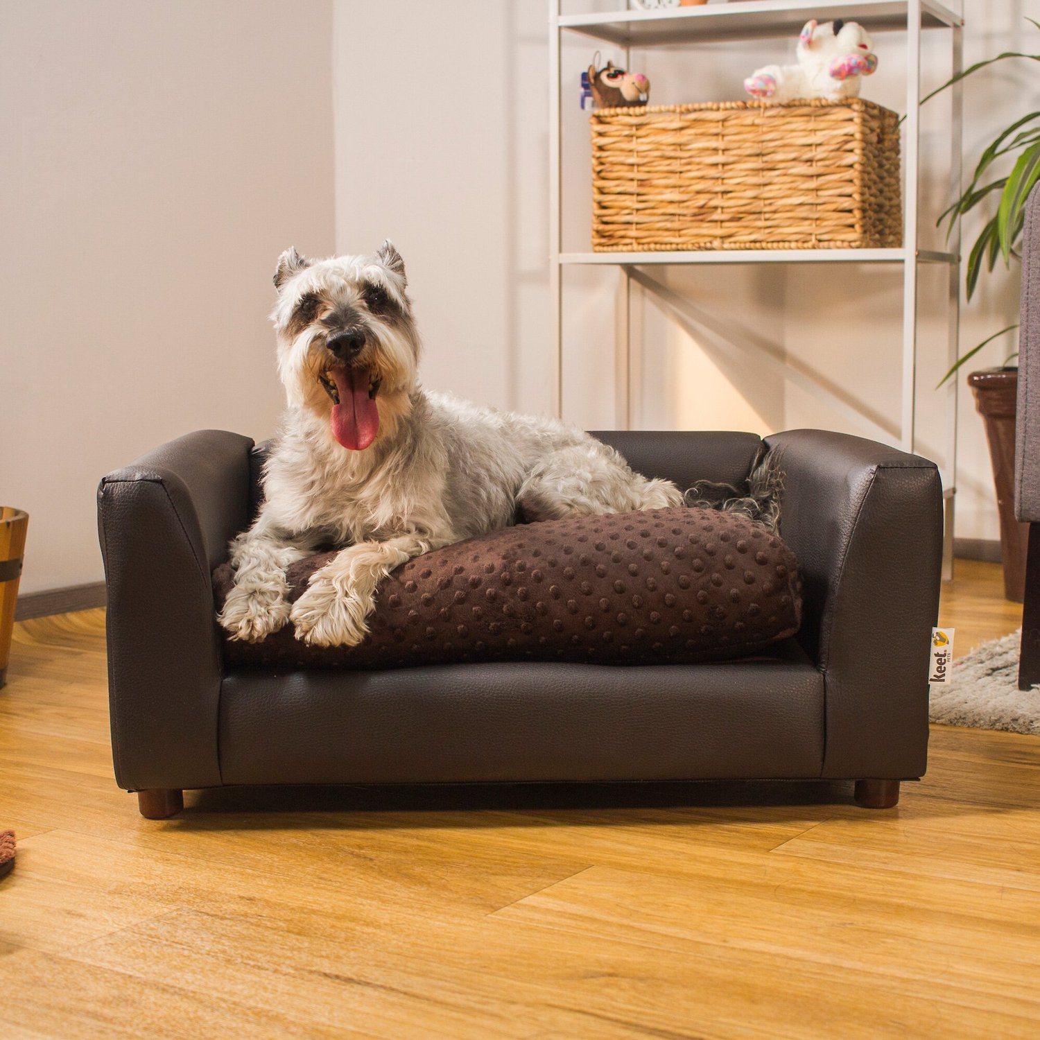 Aazon.co: Keet Fluffly Deluxe Pet Bed, Sofa Charcoal, Sall