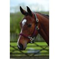 Kincade Leather Web Horse Headcollar, Burgundy/Brown, Full