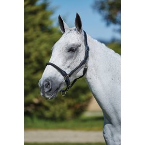Kincade Leather Rope Horse Headcollar, Black, Cob