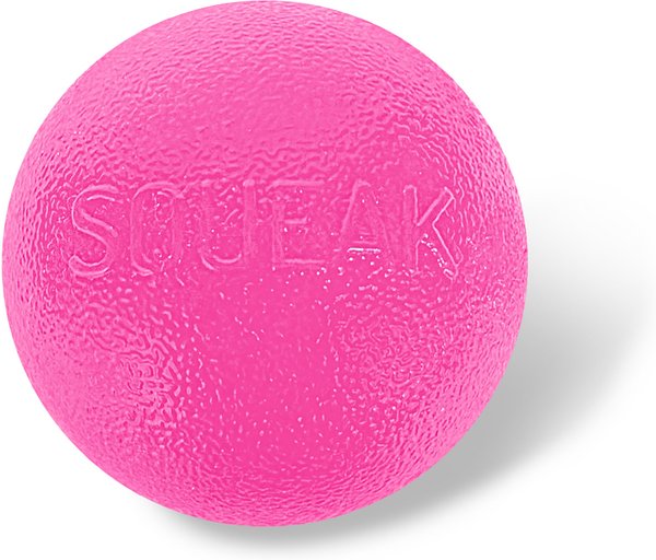 Outward Hound Squeak Ball Dog Toy