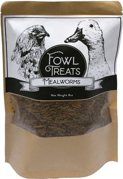 Fowl Treats Mealworms Chicken Treats, 8-oz bag slide 1 of 8