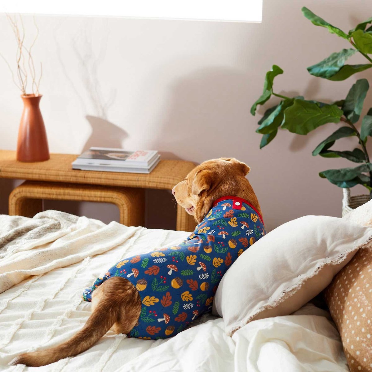 Snuggle Up In Style: Trending Dog Pajama Sets for You and Your