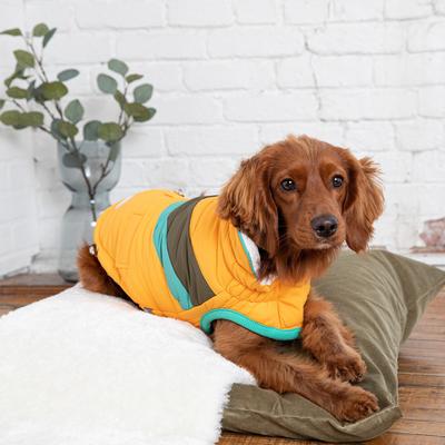 Show full view: GF Pet Alpine Puffer Dog Coat, Yellow, X-Small slide 3 of 7