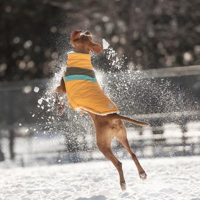 Show full view: GF Pet Alpine Puffer Dog Coat, Yellow, X-Small slide 6 of 7