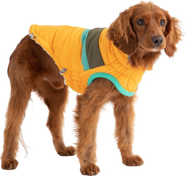 GF PET Alpine Puffer Dog Coat, Yellow, XX-Large - Chewy.com
