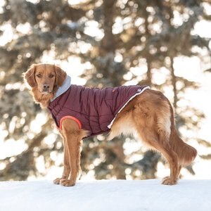 GF Pet Winter Sailor Dog Parka, Burgundy, X-Small