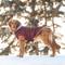 Show in main carousel: GF Pet Winter Sailor Dog Parka, Burgundy, X-Small slide 6 of 7