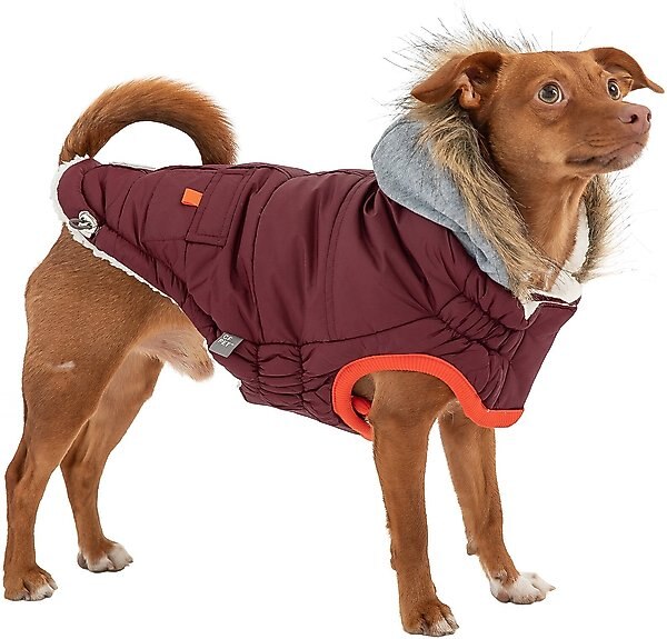 GF Pet Winter Sailor Dog Parka, Burgundy, Small slide 1 of 6
