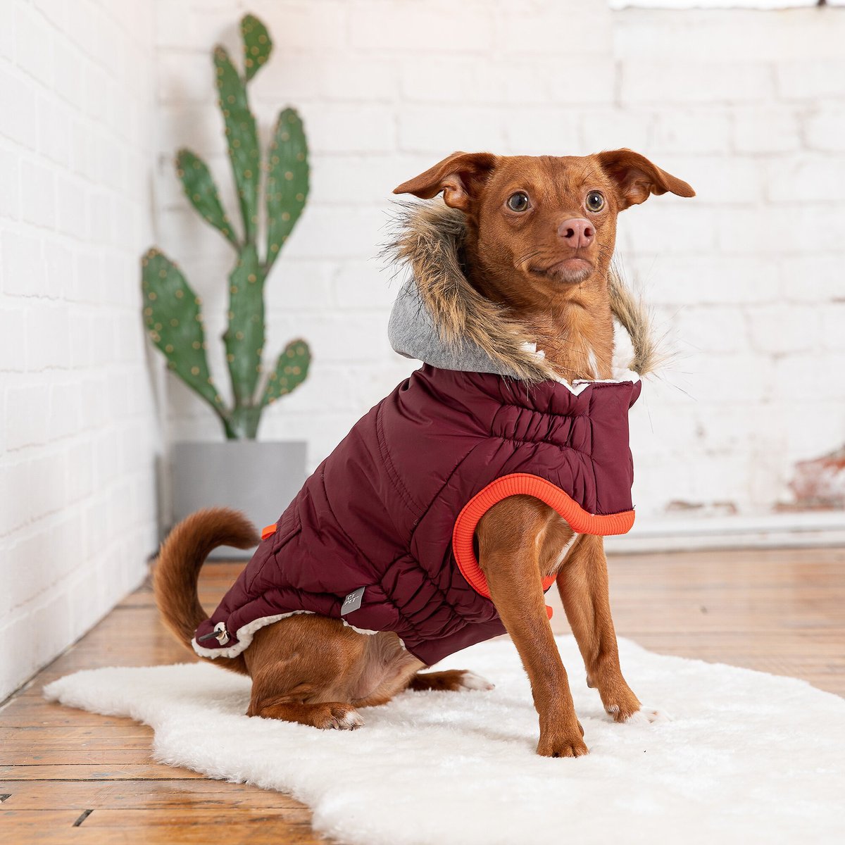 Chewy V Faux Fur Dog Jacket