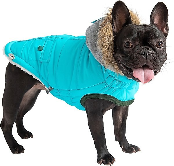 GF Pet Winter Sailor Dog Parka, Aqua, Large slide 1 of 8