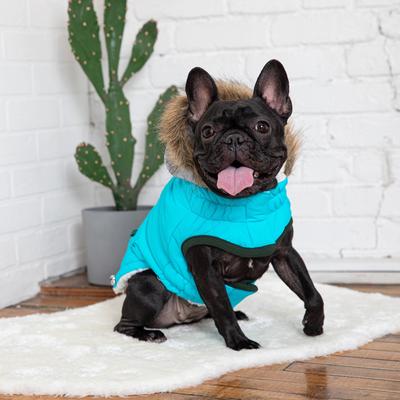 Show full view: GF Pet Winter Sailor Dog Parka, Aqua, X-Large slide 3 of 9