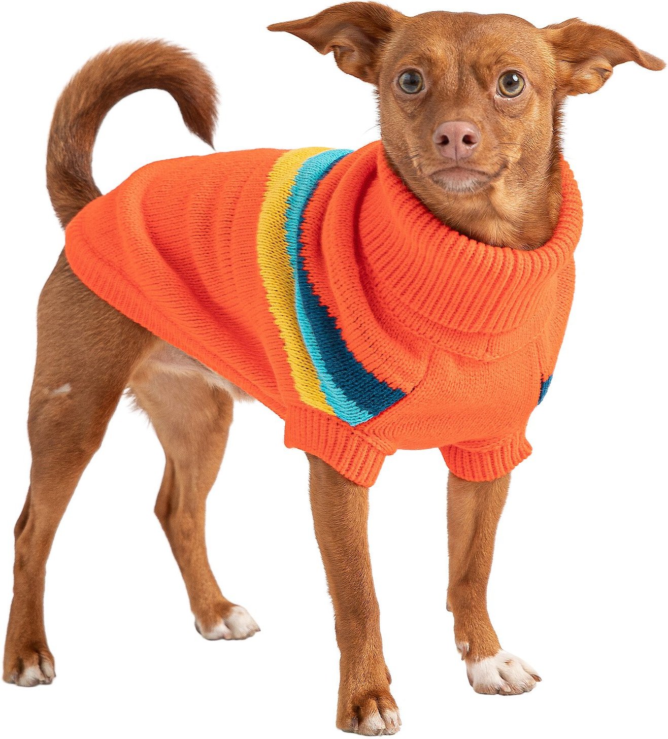 Dog Apparel Dog Clothing Orange Rib Knit Turtleneck Top Dog Fashion 