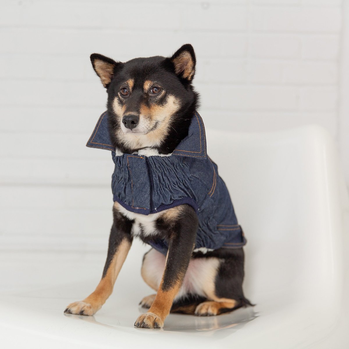 Dog clearance jean jacket