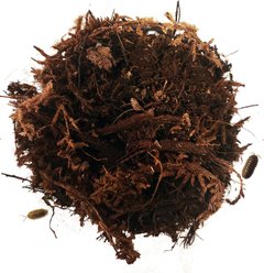 Exoticare Isocare Premium Isopod Reptile Substrate Mix, 2-lb bag slide 2 of 5