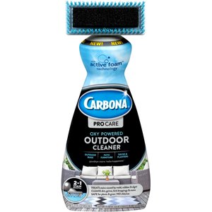 Carbona 2 in 1 Carpet Cleaner