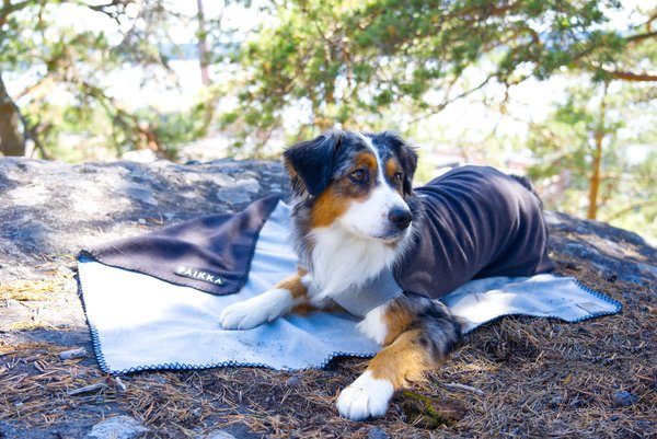 PAIKKA Recovery Dog Blanket, Grey slide 1 of 5