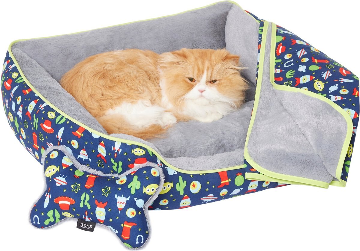 PIXAR Toy Story Pet Bed & Gift Set, Medium