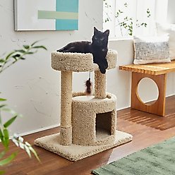Frisco 27-in Real Carpet Cat Tree with Condo & Oval Perch, Beige