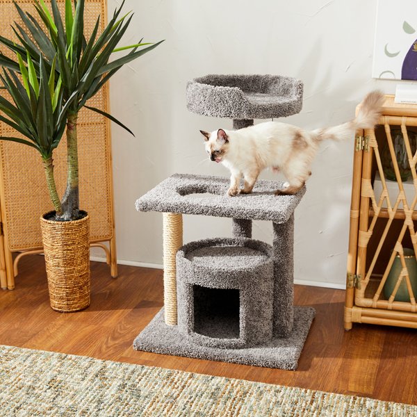 Frisco 42-in Real Carpet  Cat Tree with Condo, Grey slide 1 of 5