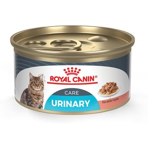 Royal Canin Feline Care Nutrition Urinary Care Thin Slices in Gravy Canned Cat Food, 3-oz, case of 24