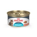 Royal Canin Feline Care Nutrition Urinary Care Thin Slices in Gravy Canned Cat Food, 3-oz, case of 24