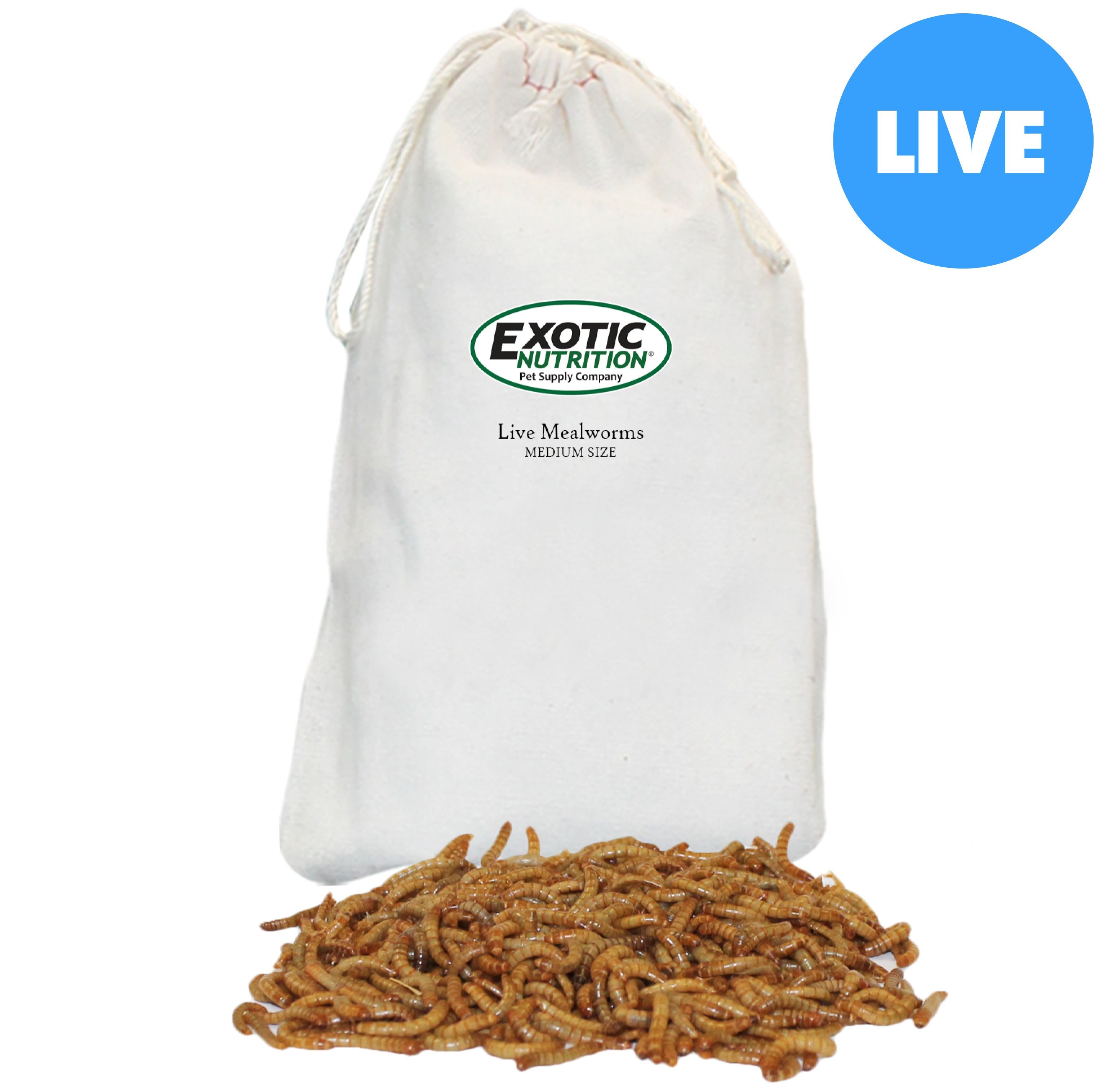 Do these mealworms attract bluebirds? | Chewy.com