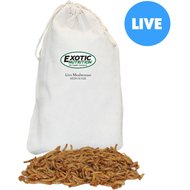 Exotic Nutrition Live Mealworms Reptile Food, Medium, 500 count