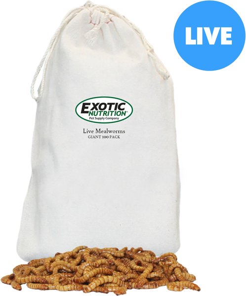 Exotic Nutrition Live Mealworms Reptile Food, Giant, 100 count slide 1 of 6