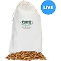 Exotic Nutrition Live Mealworms Reptile Food, Giant, 100 count