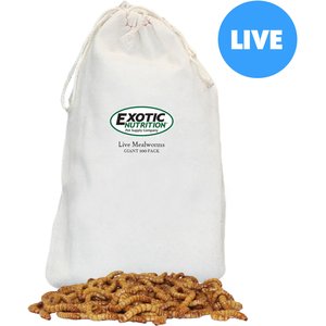 Exotic Nutrition Live Mealworms Reptile Food, Giant, 100 count